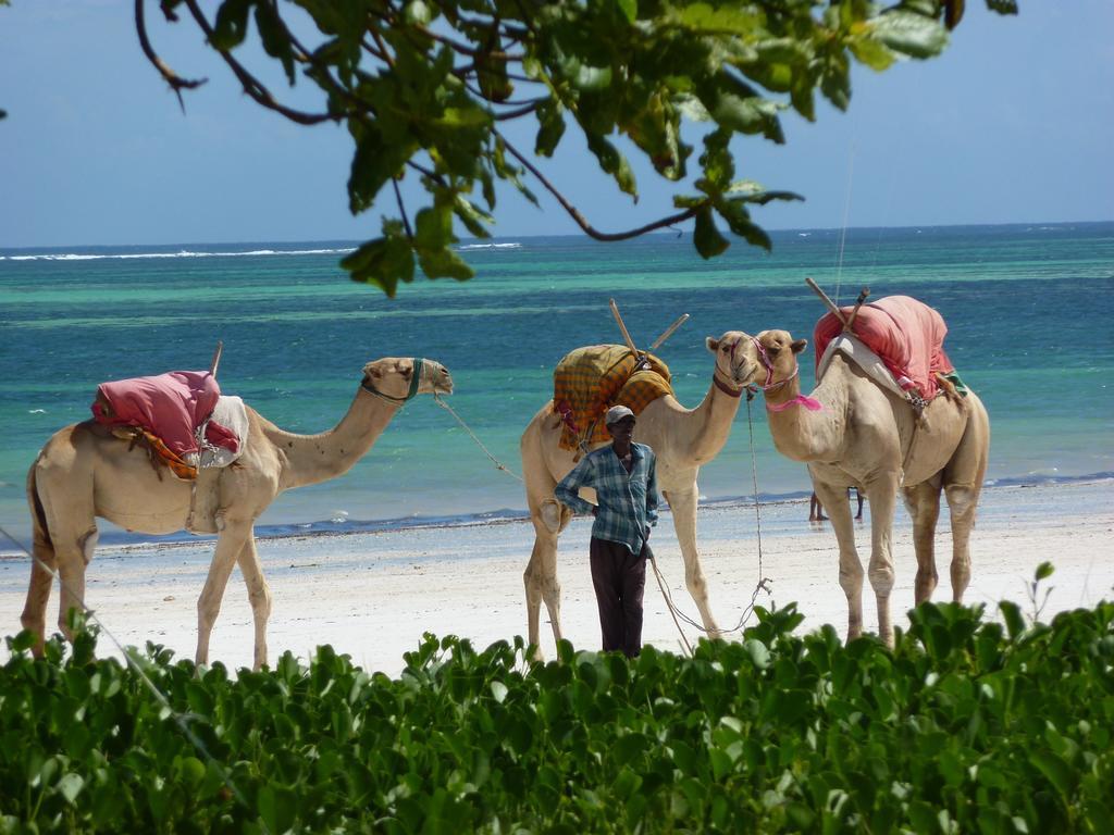 Lantana Galu Beach Diani Beach Luaran gambar