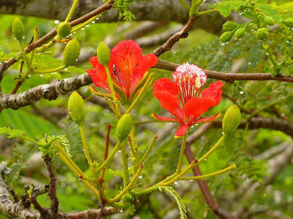 Lantana Galu Beach Diani Beach Luaran gambar